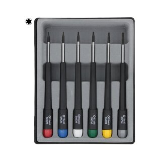 6 Torx-Schraubendreher