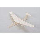 Airliner Holz Wurfmodell