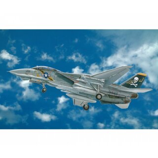 Italeri F-14A Thomcat  1:48