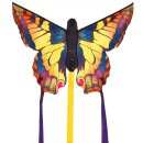 HQ Butterfly Swallowteil R 52x34cm