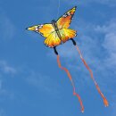 Hq Butterfly Monarch 120x95cm