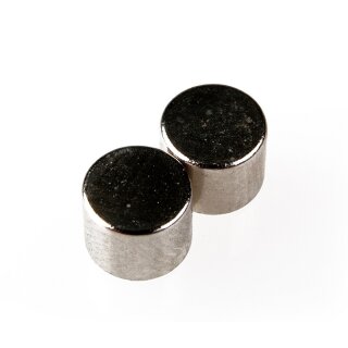 Magnet Set D6x3mm VE5 Stück