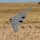 Micro B-2 Spirit of America TwinEDF BNF Basic