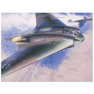 Ho229A-1 Flying Wing  1:48