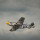 Mustang P-51D 1760mm EP/GP ARF